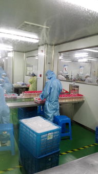 上海OEM護(hù)膚品加工廠 一站式信息咨詢(xún)服務(wù)指南