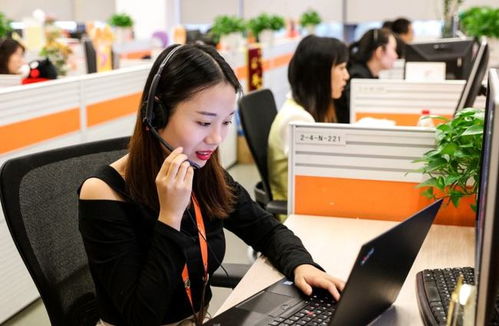 6類適合“老實人”的工作 在信息咨詢服務(wù)領(lǐng)域，找到人際關(guān)系簡單、工資高又能做長久的職業(yè)港灣